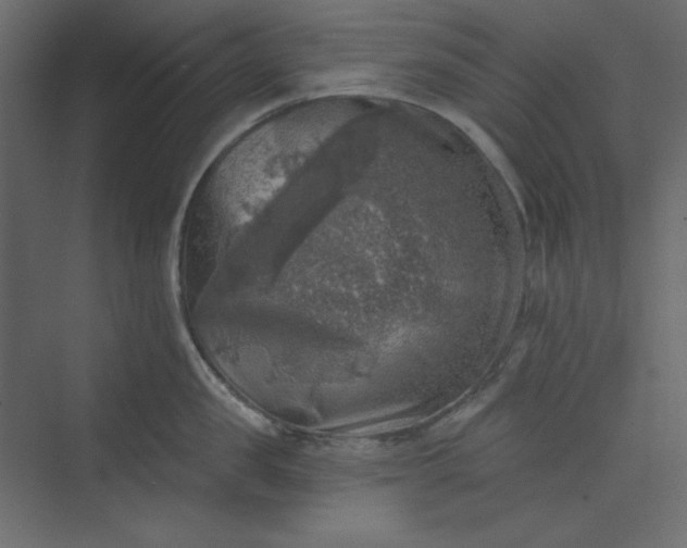 X0000073890957200608251428