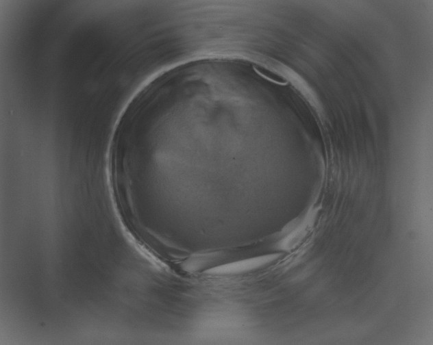 X0000073890958200608251428