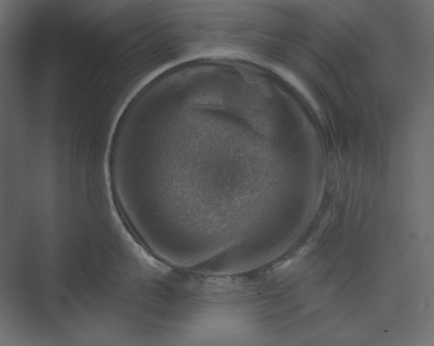 X0000073890959200608251428