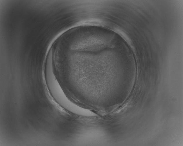 X0000073890960200608251428