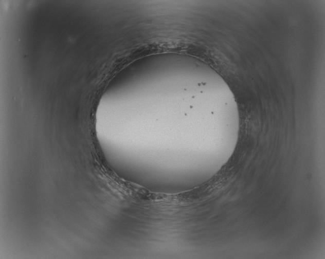 X0000073890961200608251427