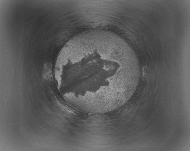 X0000073890963200608251427