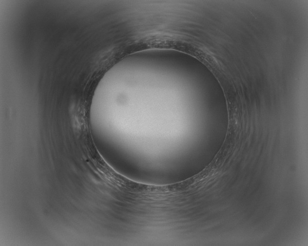 X0000073890964200608251427