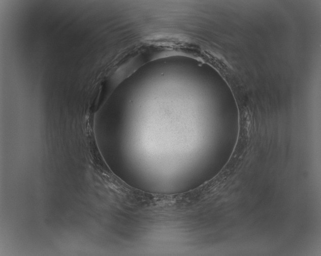 X0000073890965200608251427