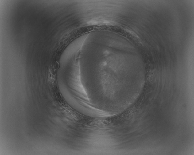 X0000073890966200608251427