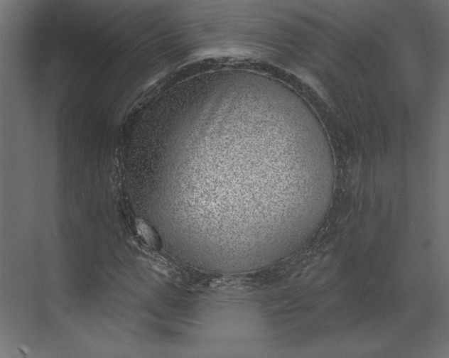 X0000073890967200608251427