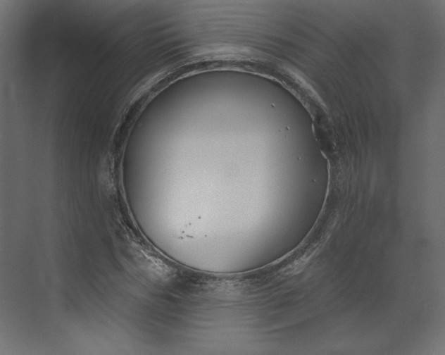 X0000073890970200608251427