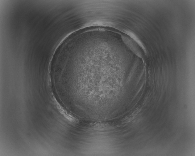 X0000073890972200608251427