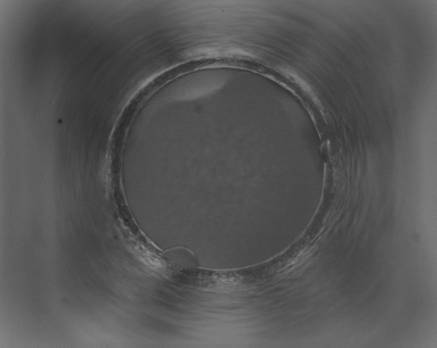 X0000073890975200608251427