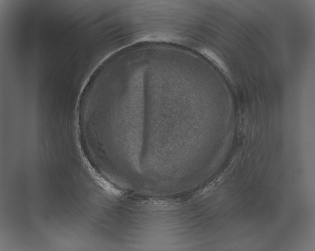 X0000073890976200608251427