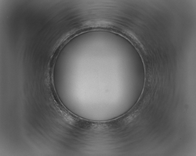 X0000073890978200608251427