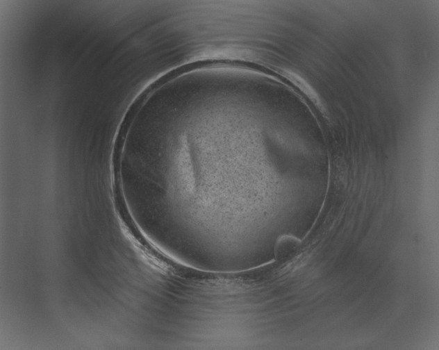 X0000073890980200608251427