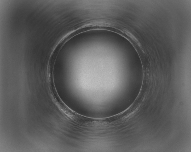 X0000073890981200608251427