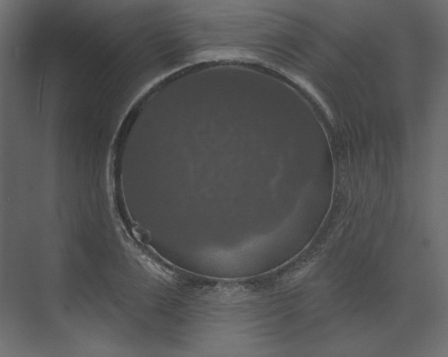 X0000073890983200608251427