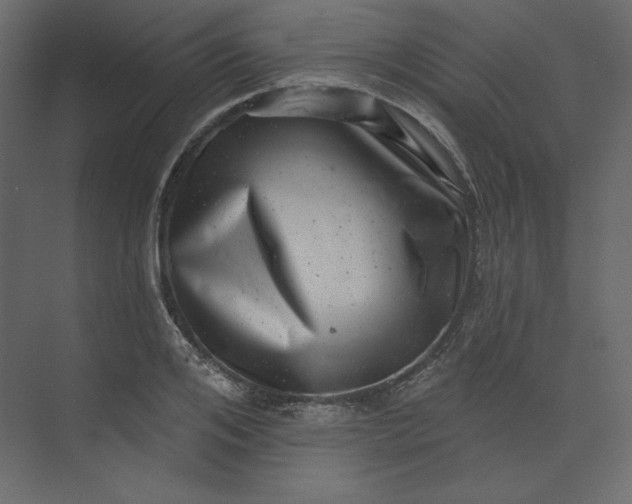 X0000073890984200608251427