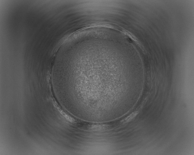 X0000073890985200608251427