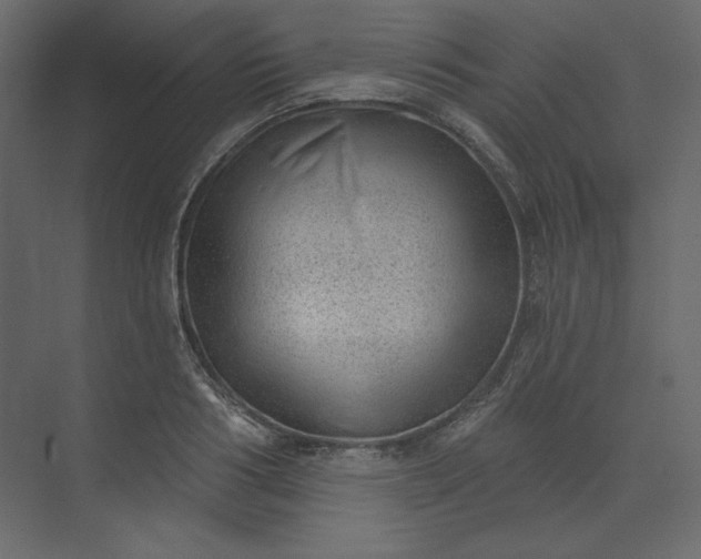 X0000073890986200608251427