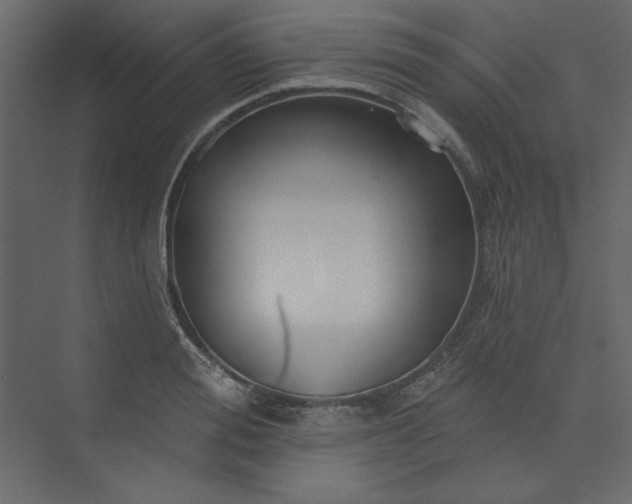 X0000073890988200608251427