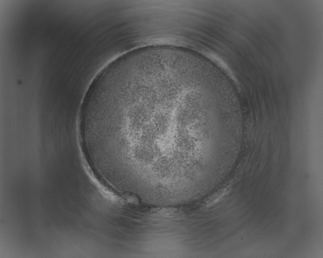 X0000073890991200608251427