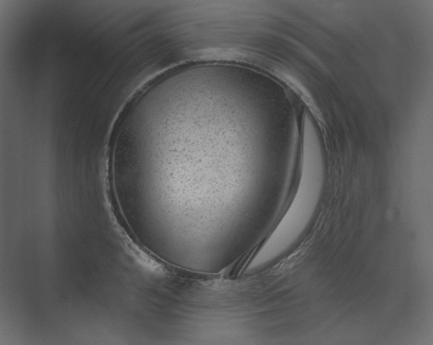 X0000073890992200608251427