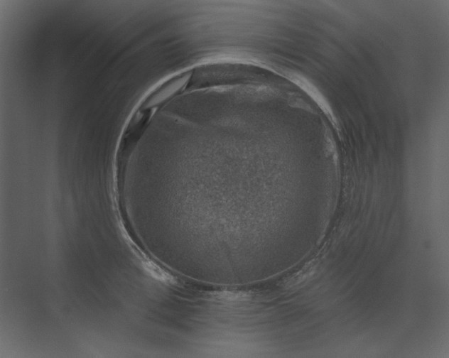 X0000073890996200608251426