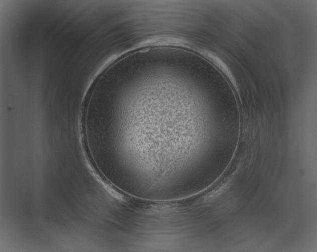 X0000073890997200608251426