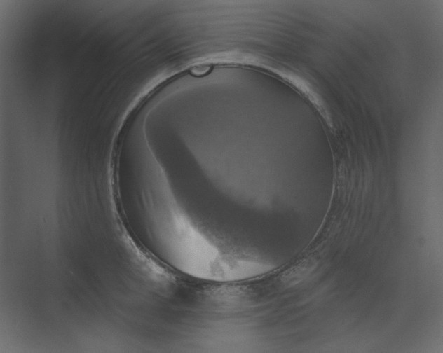 X0000073890998200608251426