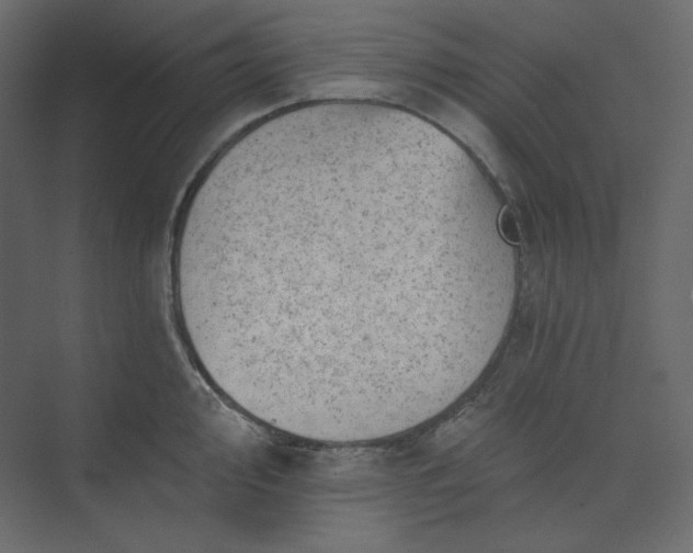 X0000073891000200608251426