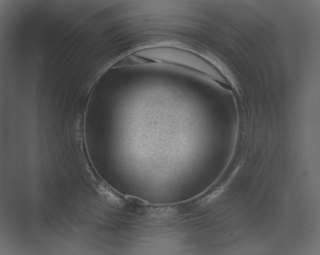 X0000073891001200608251426