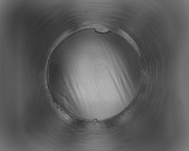 X0000073891002200608251426