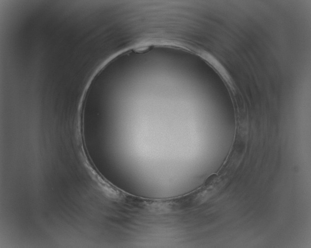 X0000073891004200608251426