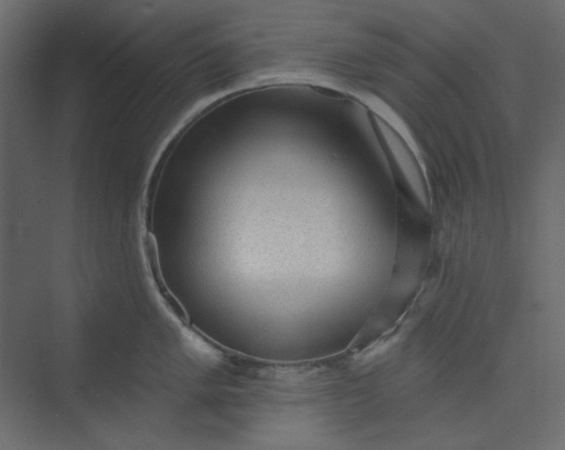 X0000073891005200608251426