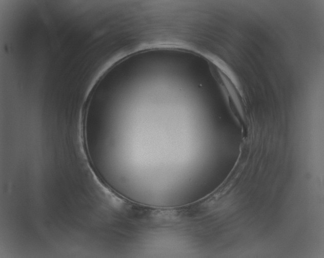 X0000073891006200608251426