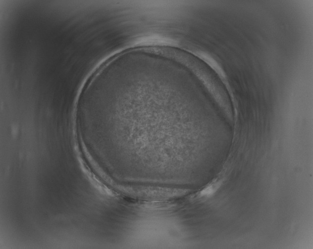 X0000073891008200608251426