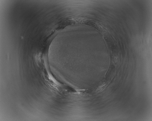 X0000073891010200608251425