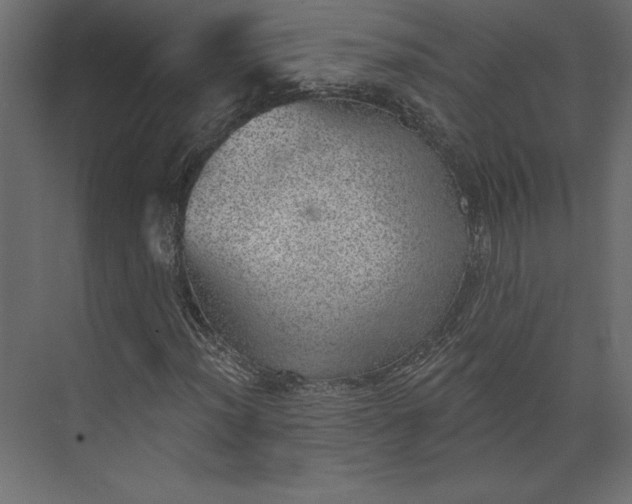 X0000073891012200608251426