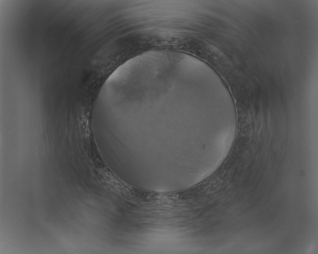 X0000073891013200608251426