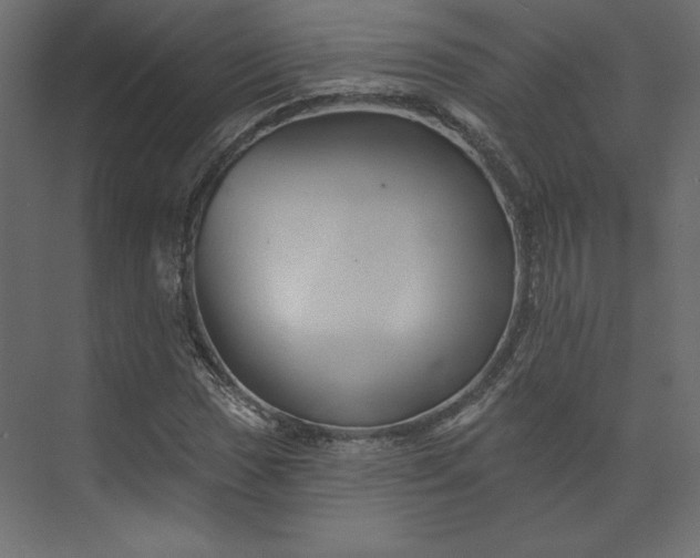 X0000073891017200608251426