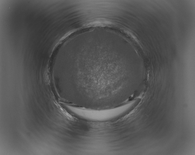 X0000073891018200608251426