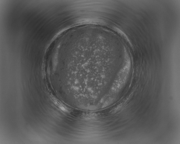 X0000073891019200608251426