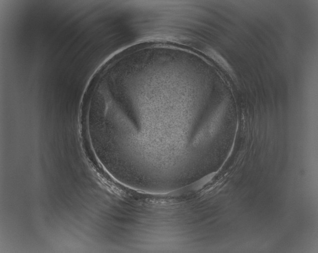 X0000073891020200608251426