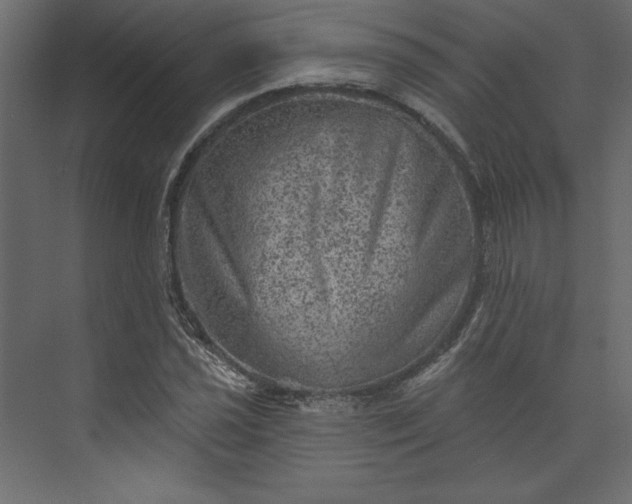 X0000073891021200608251426