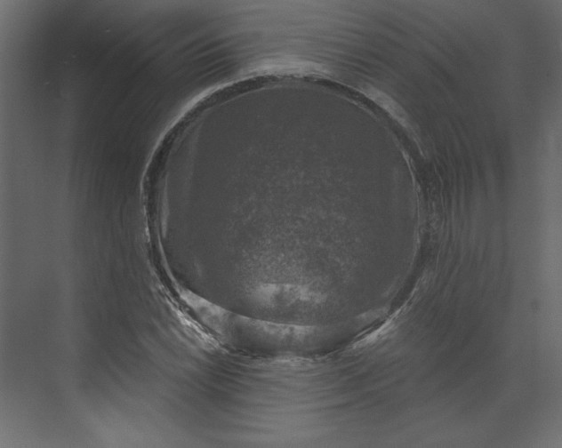 X0000073891022200608251426