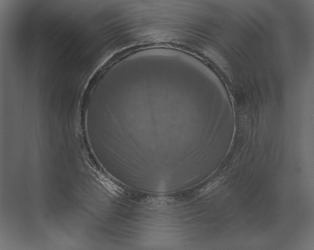 X0000073891023200608251426