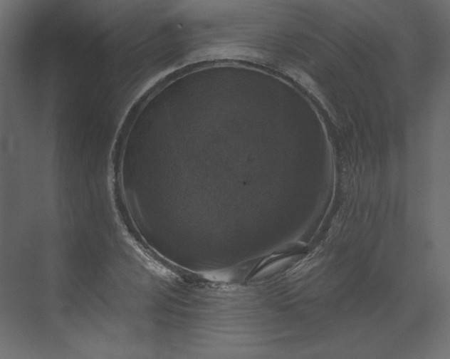 X0000073891024200608251426