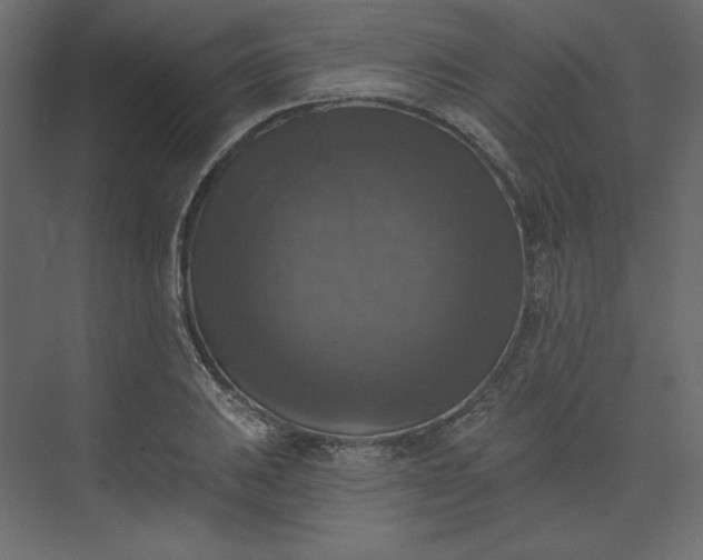 X0000073891031200608251426