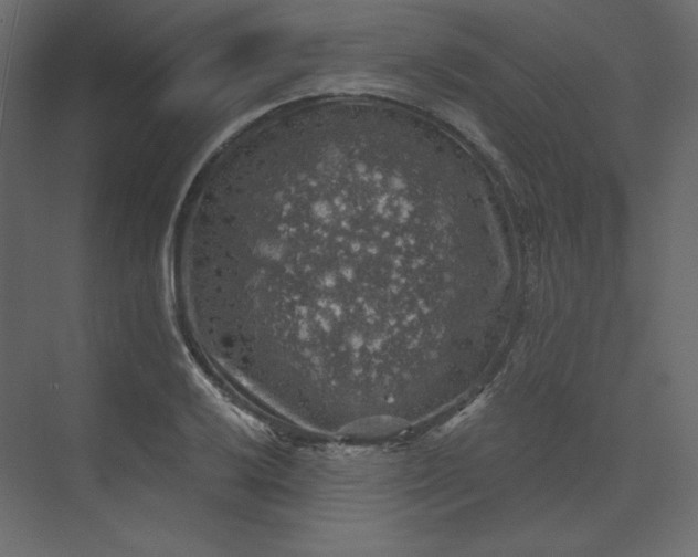 X0000073891032200608251426