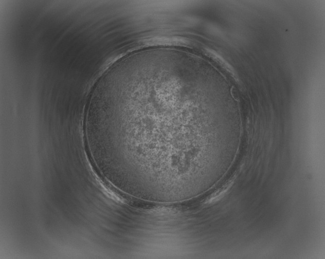 X0000073891033200608251426