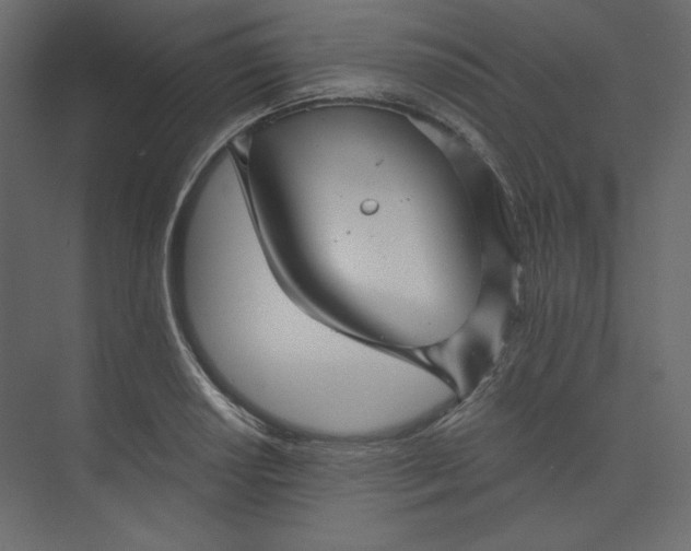 X0000073891034200608251426