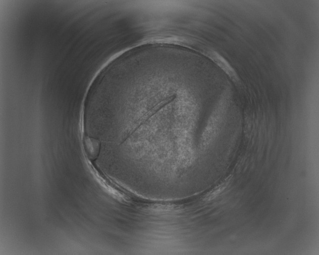 X0000073891036200608251426